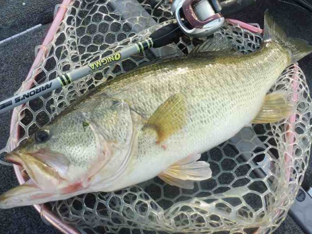 truth okuma ブログ写真 2016/12/06