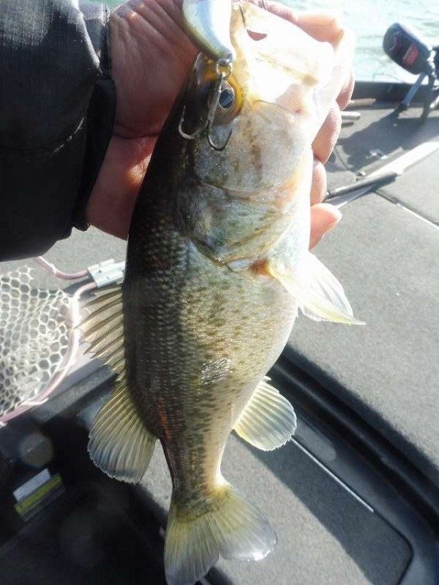 truth okuma ブログ写真 2016/12/06