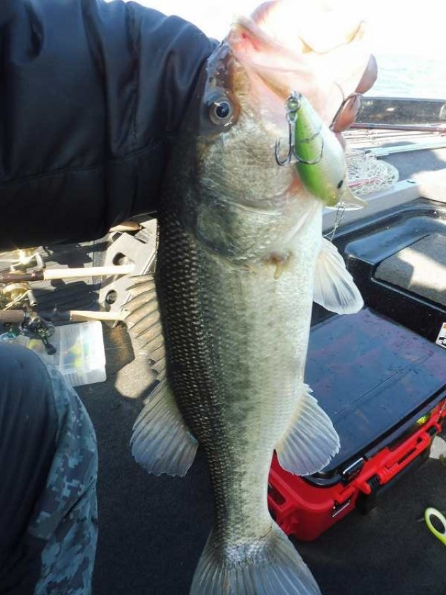 truth okuma ブログ写真 2016/12/07