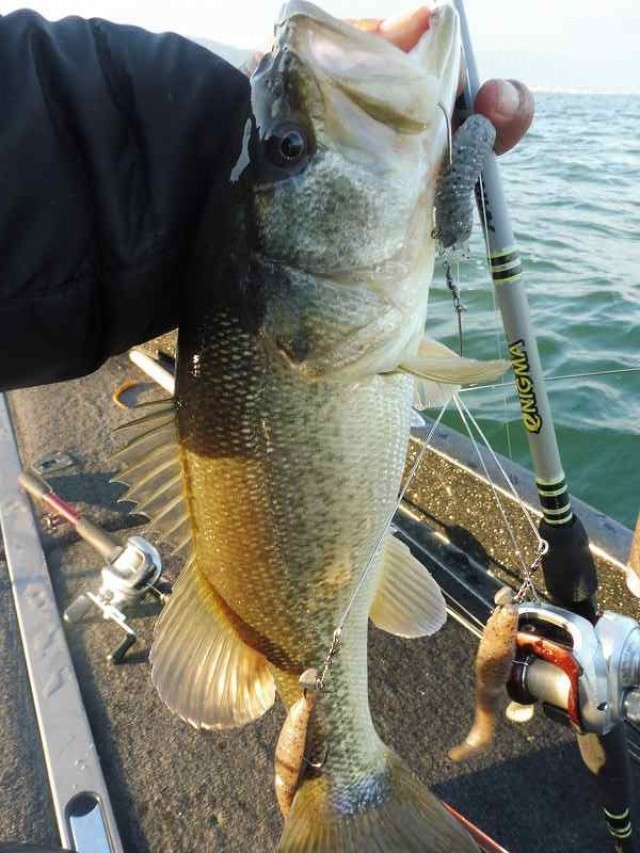 truth okuma ブログ写真 2016/12/07