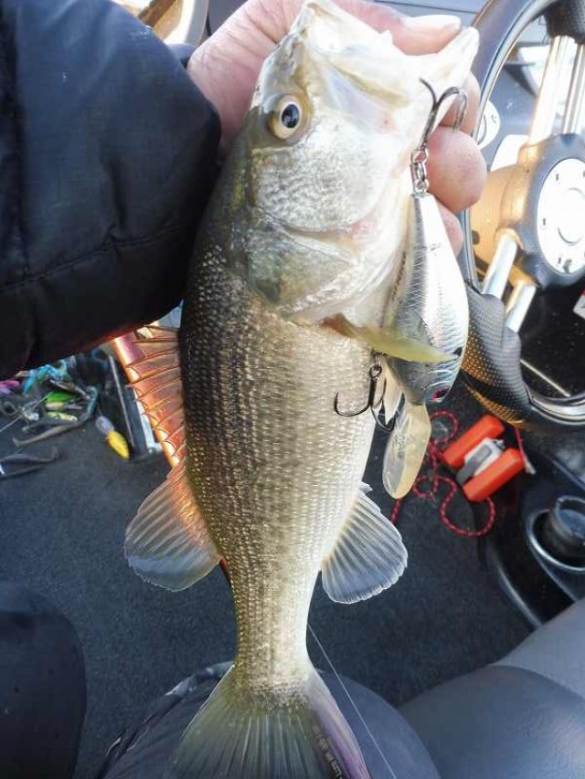 truth okuma ブログ写真 2016/12/07