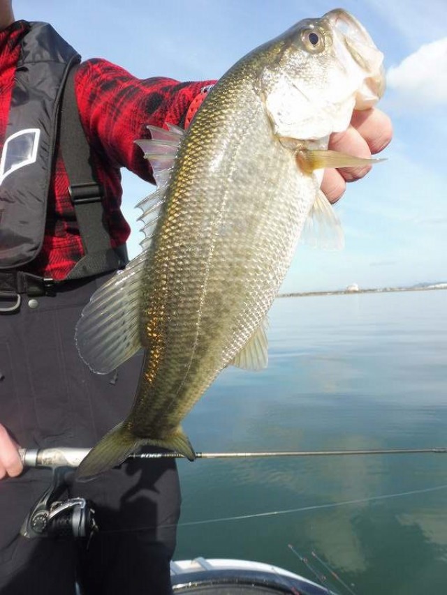 truth okuma ブログ写真 2016/12/08