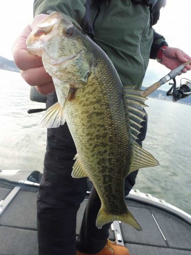 truth okuma ブログ写真 2016/12/08