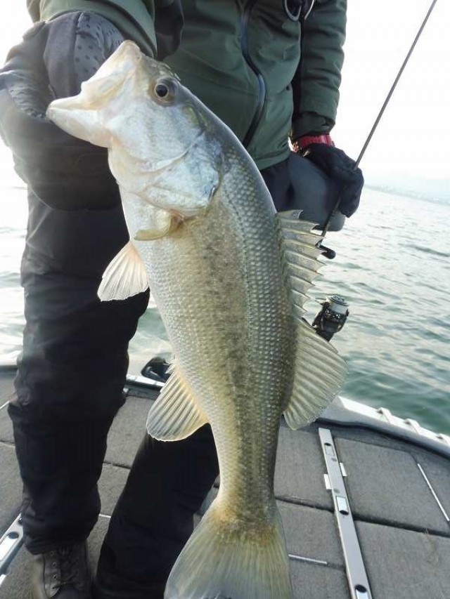 truth okuma ブログ写真 2016/12/09