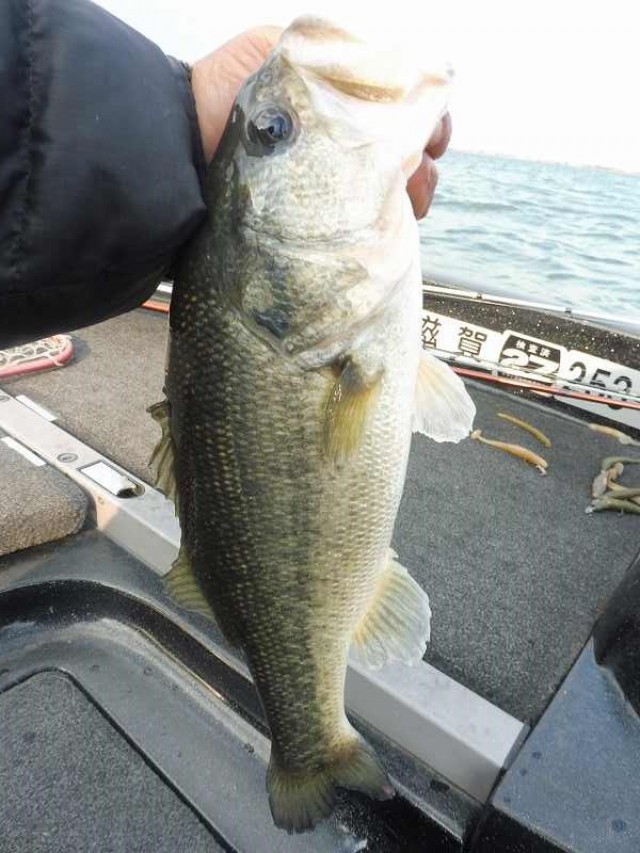 truth okuma ブログ写真 2016/12/09