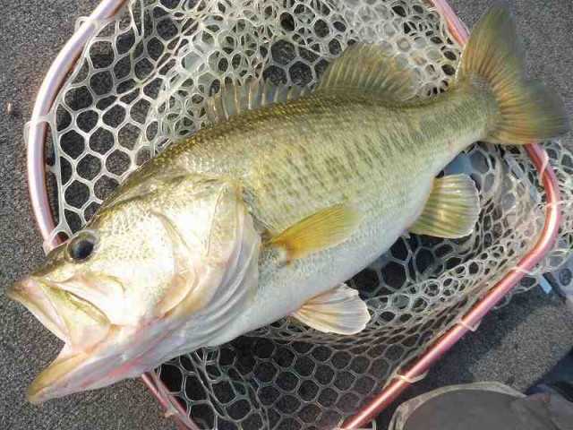 truth okuma ブログ写真 2016/12/09