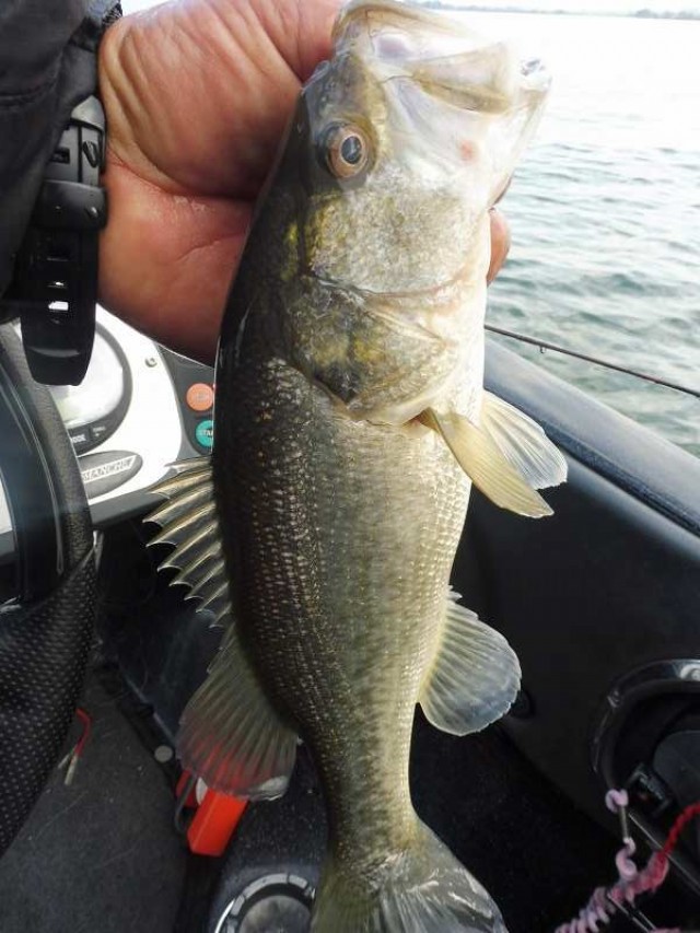 truth okuma ブログ写真 2016/12/09