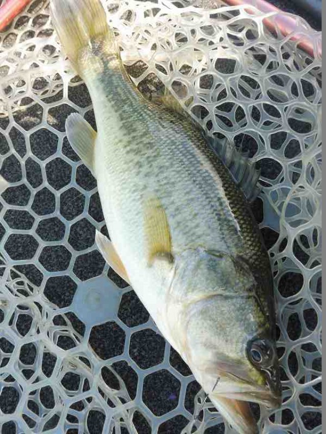 truth okuma ブログ写真 2016/12/10