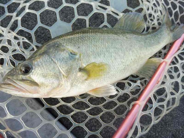 truth okuma ブログ写真 2016/12/10