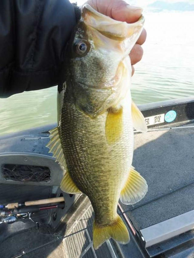 truth okuma ブログ写真 2016/12/10