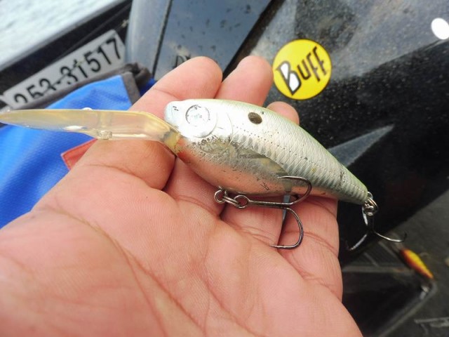 truth okuma ブログ写真 2016/12/10