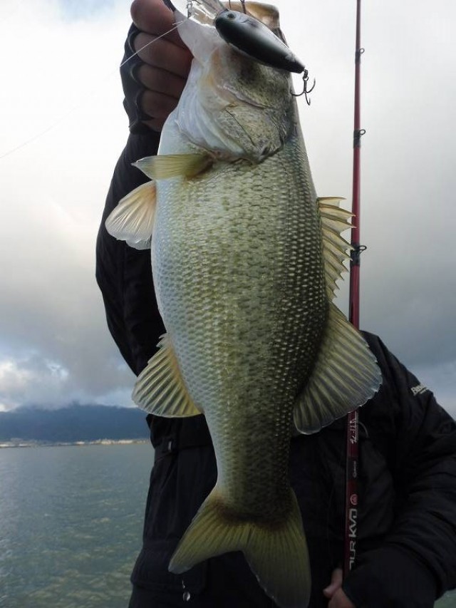 truth okuma ブログ写真 2016/12/10