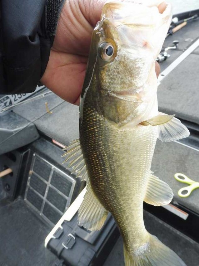 truth okuma ブログ写真 2016/12/10