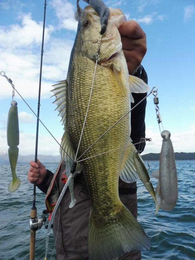 truth okuma ブログ写真 2016/12/17