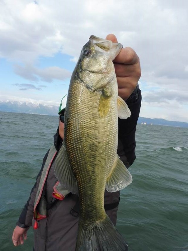 truth okuma ブログ写真 2016/12/17