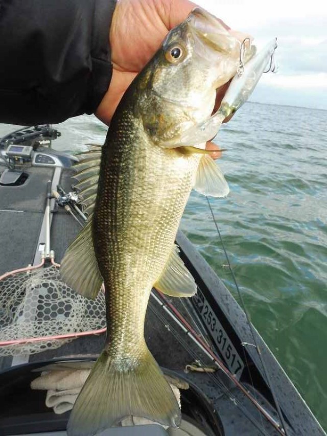 truth okuma ブログ写真 2016/12/17