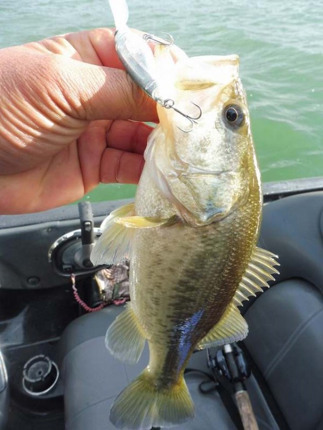 truth okuma ブログ写真 2016/12/17