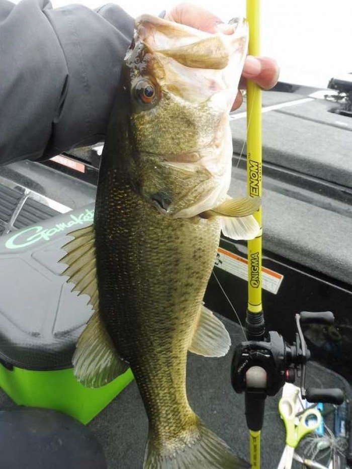 truth  ブログ写真 2017/03/06