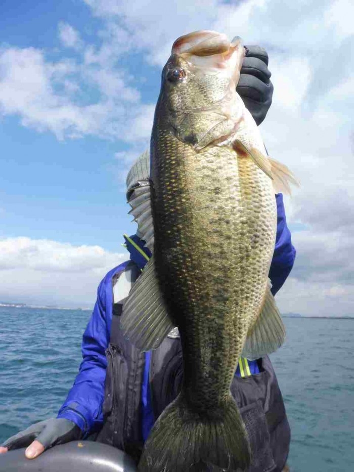 truth  ブログ写真 2017/03/10