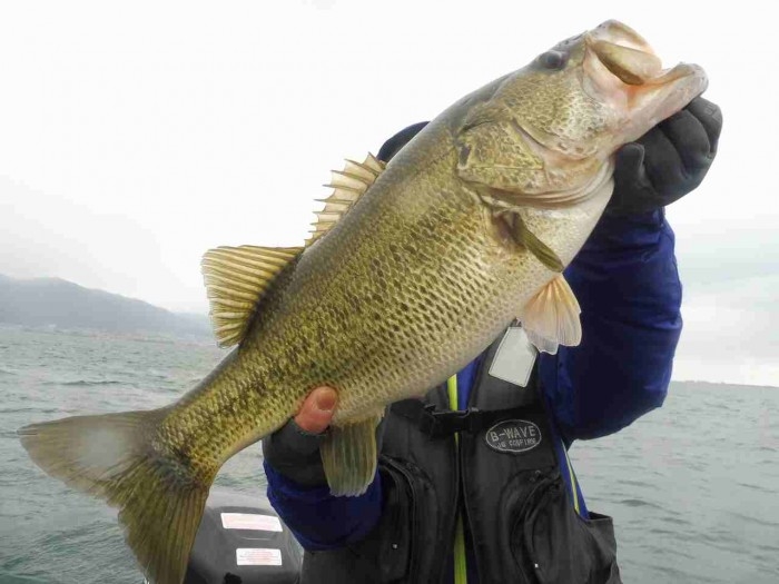 truth  ブログ写真 2017/03/10