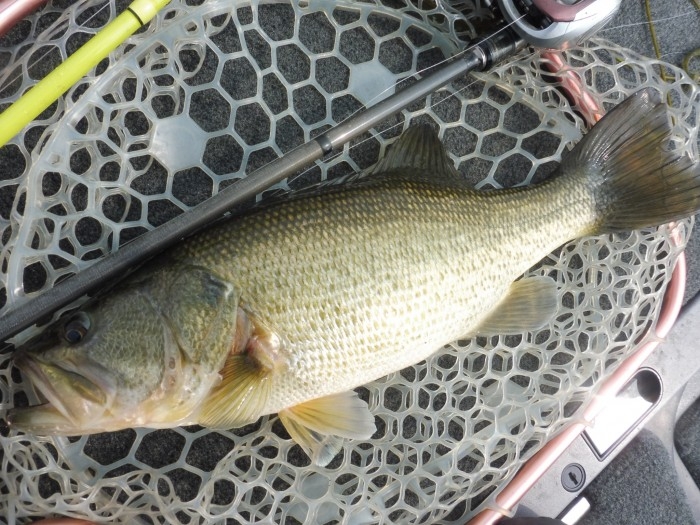 truth  ブログ写真 2017/03/19