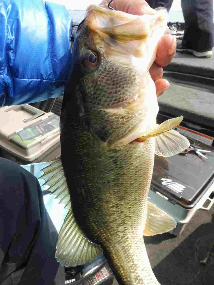 truth  ブログ写真 2017/03/19