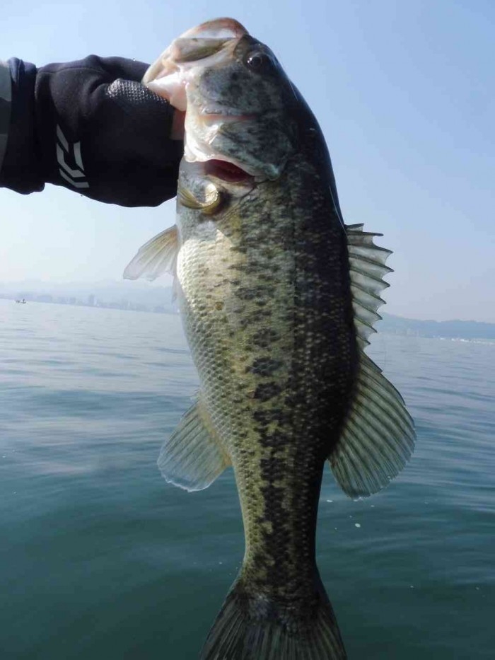 truth  ブログ写真 2017/03/20