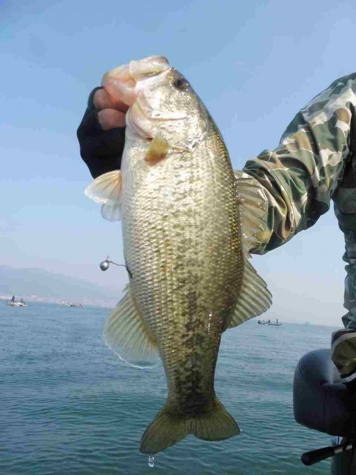 truth  ブログ写真 2017/03/20