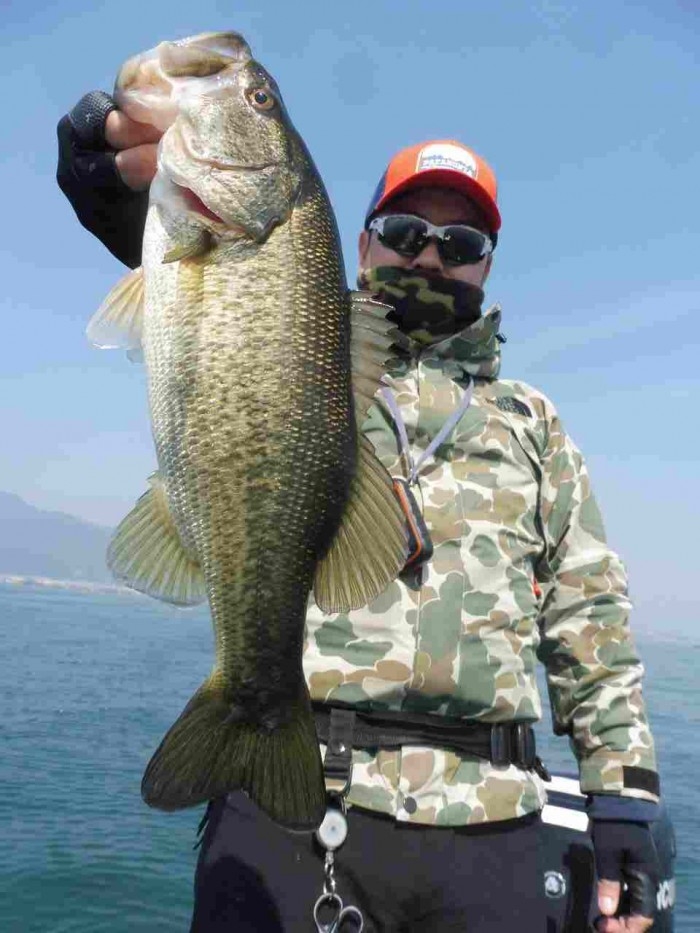 truth  ブログ写真 2017/03/20