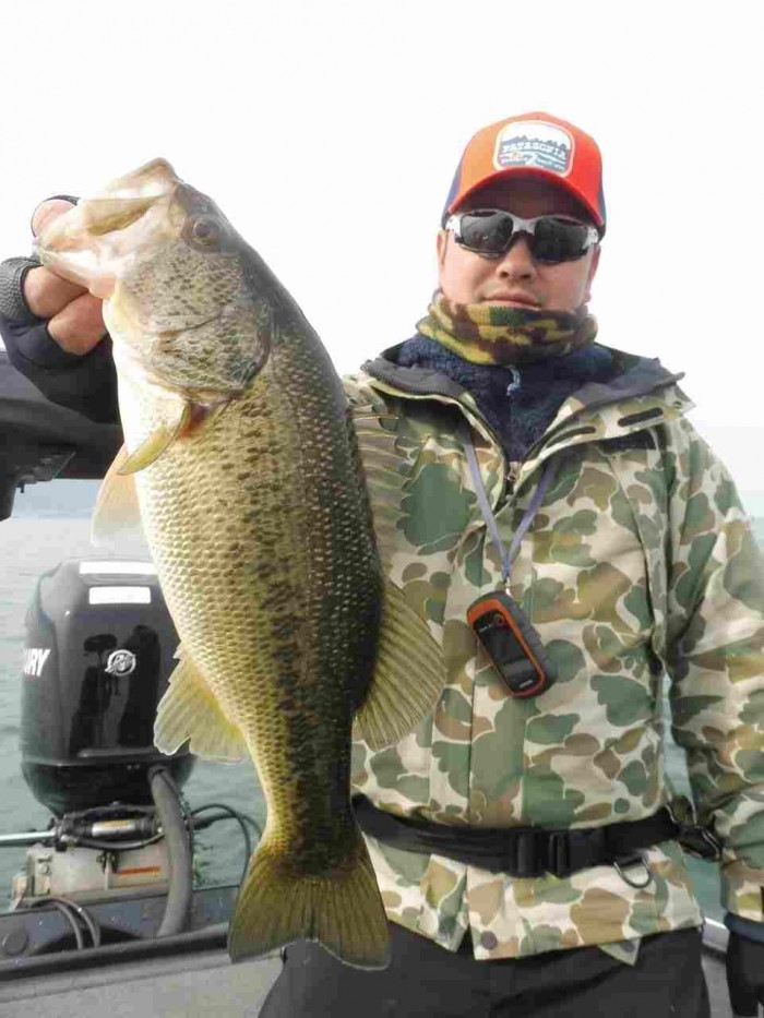 truth  ブログ写真 2017/03/20