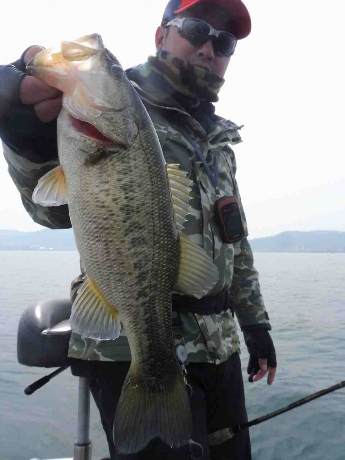 truth  ブログ写真 2017/03/20