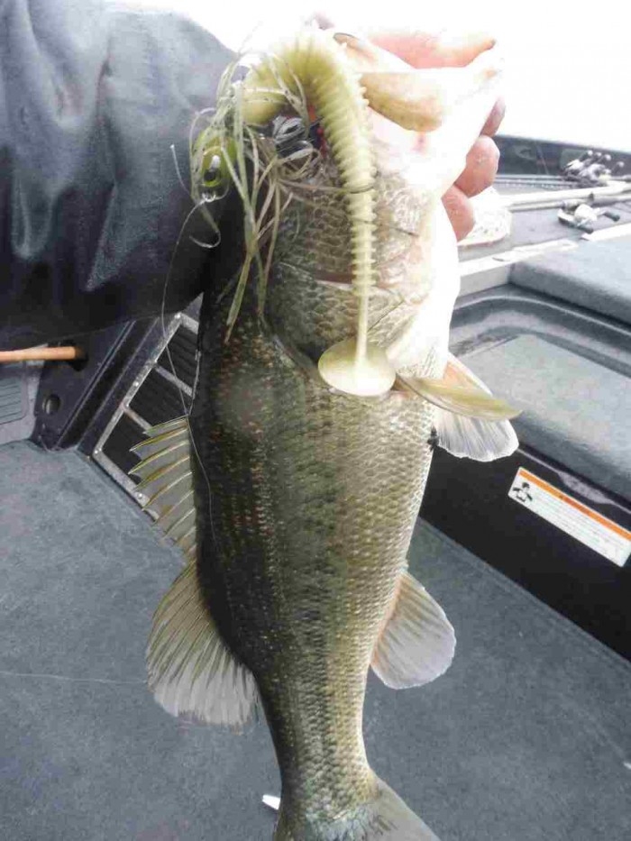 truth  ブログ写真 2017/03/21