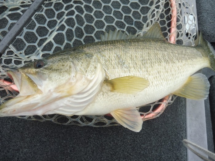 truth  ブログ写真 2017/03/21