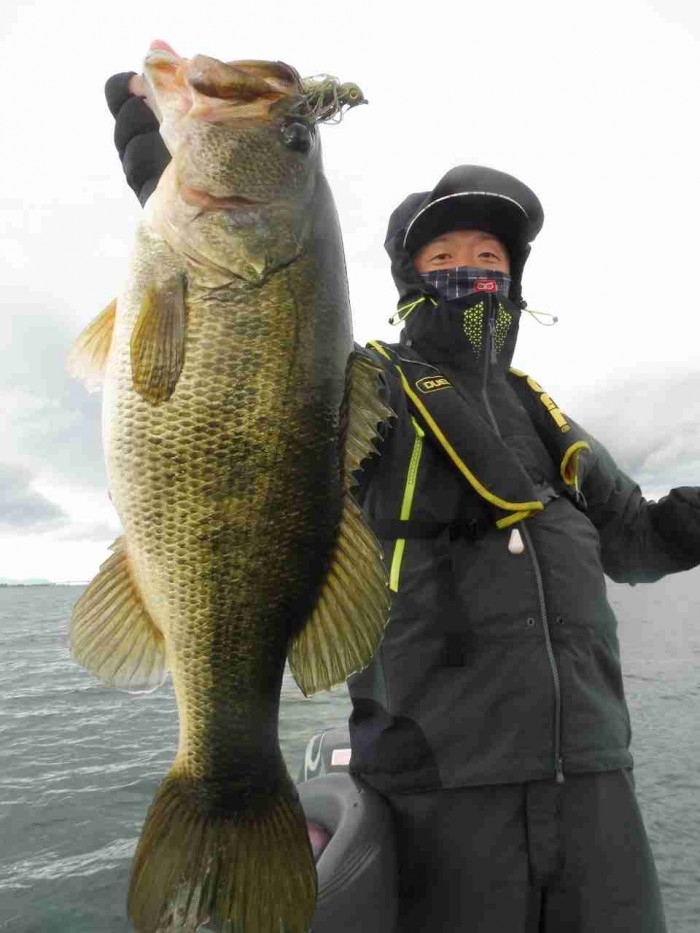 truth  ブログ写真 2017/03/21