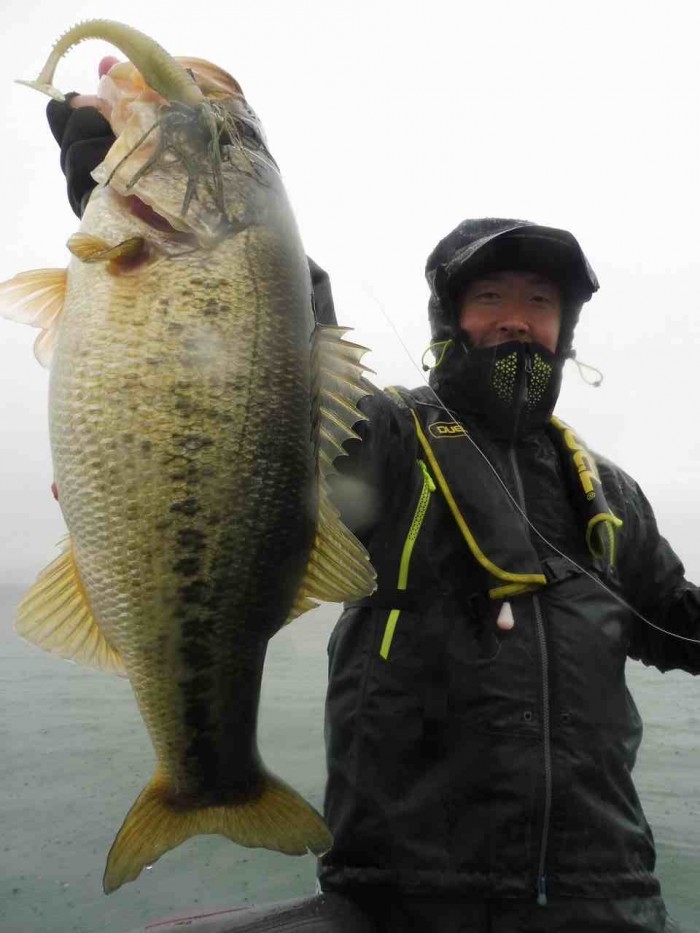 truth  ブログ写真 2017/03/21