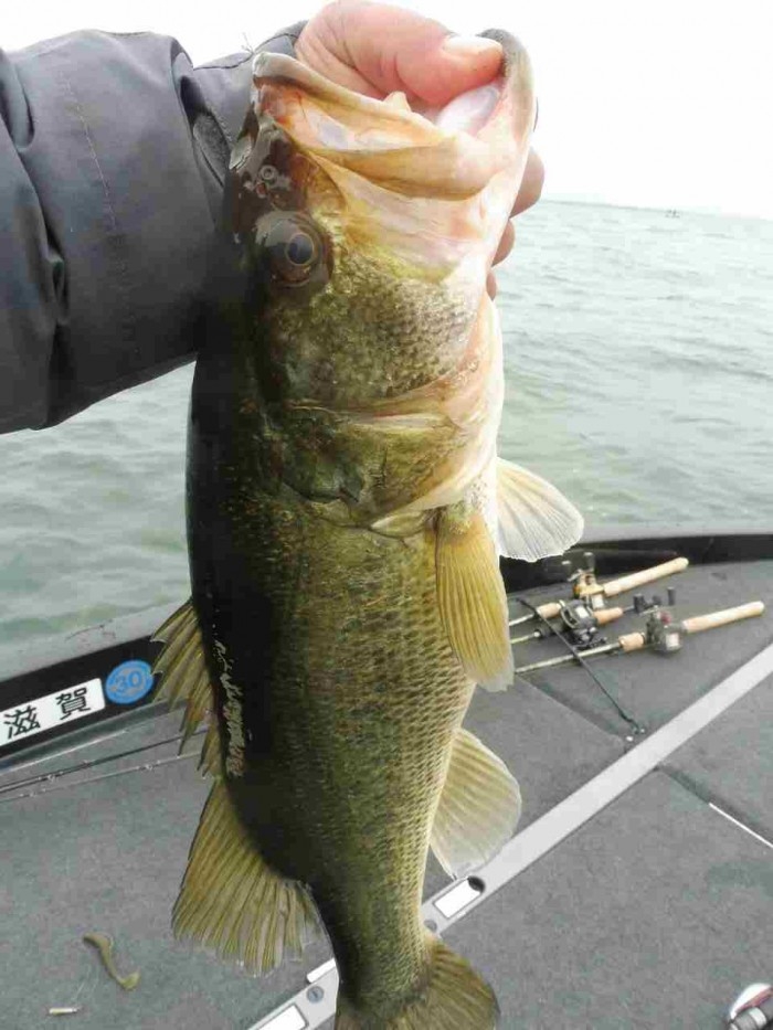 truth  ブログ写真 2017/03/23