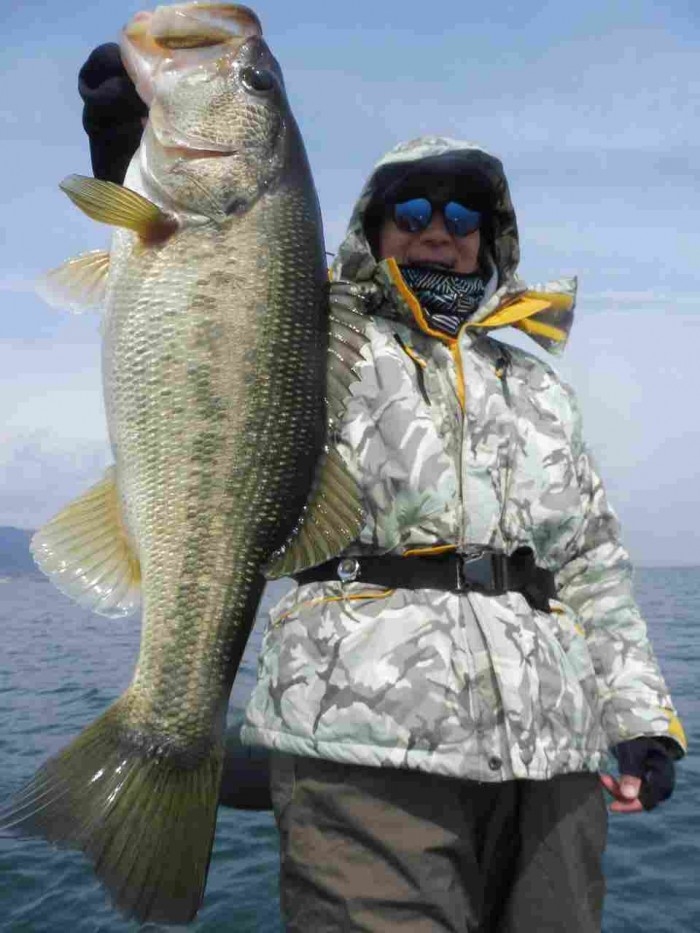 truth  ブログ写真 2017/03/23