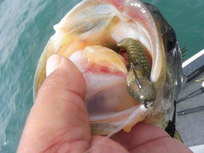 truth  ブログ写真 2017/03/23