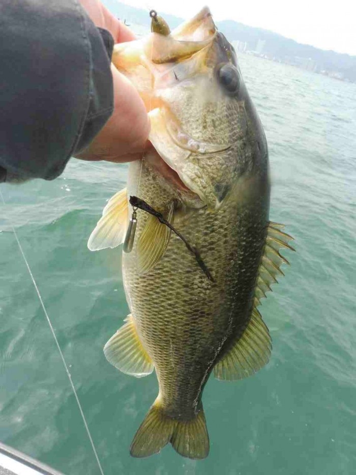 truth  ブログ写真 2017/03/23