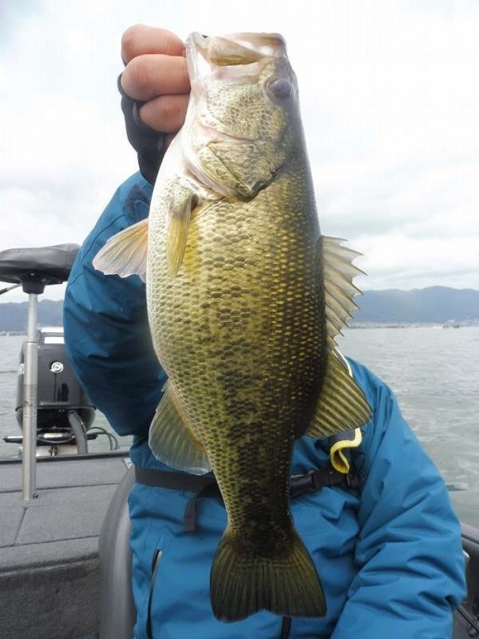 truth  ブログ写真 2017/04/01