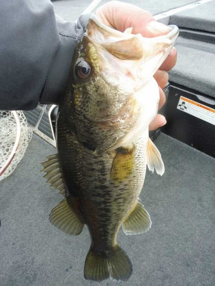 truth  ブログ写真 2017/04/01