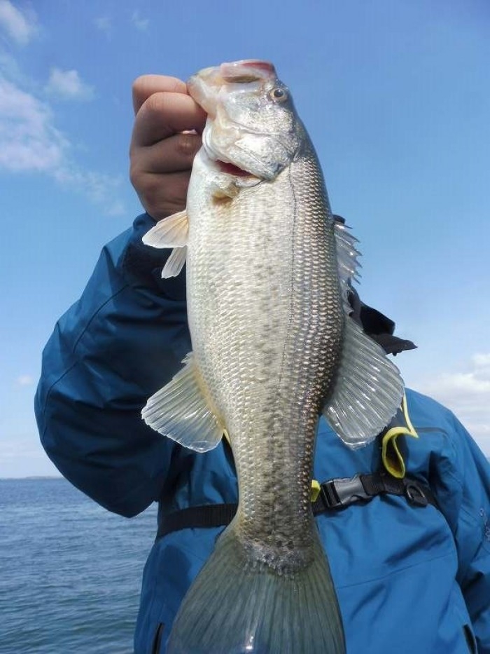 truth  ブログ写真 2017/04/01