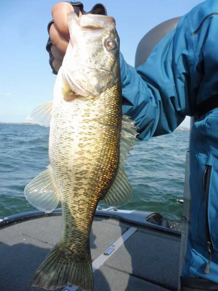 truth  ブログ写真 2017/04/01