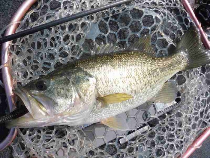 truth  ブログ写真 2017/04/01