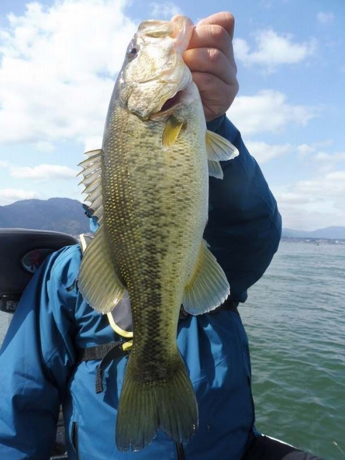 truth  ブログ写真 2017/04/01