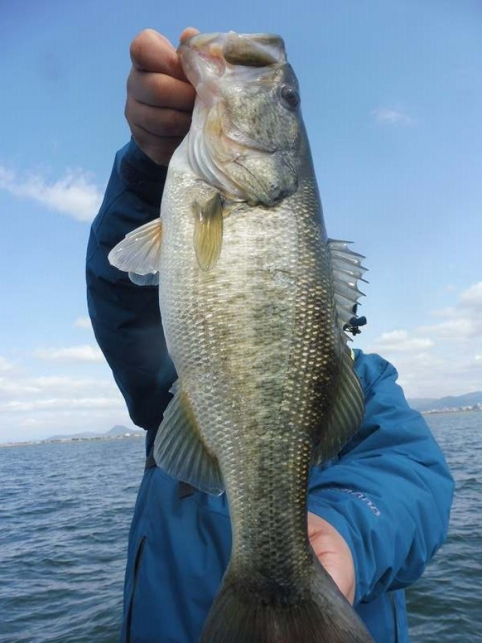 truth  ブログ写真 2017/04/01