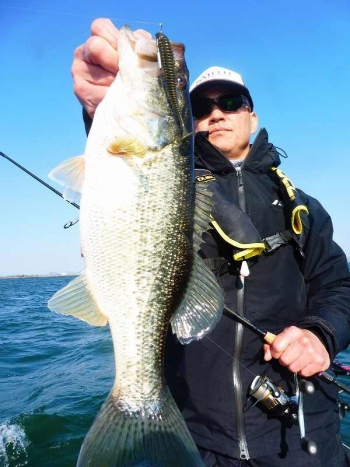 truth  ブログ写真 2017/04/03