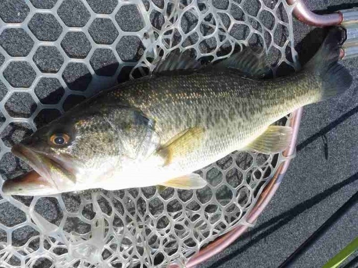 truth  ブログ写真 2017/04/03