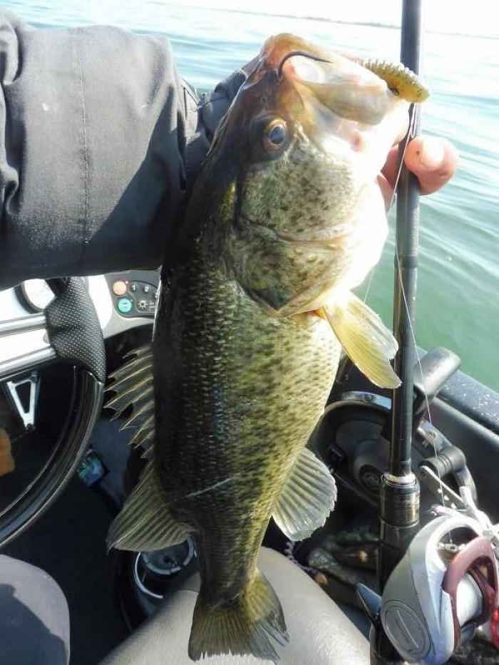 truth  ブログ写真 2017/04/03