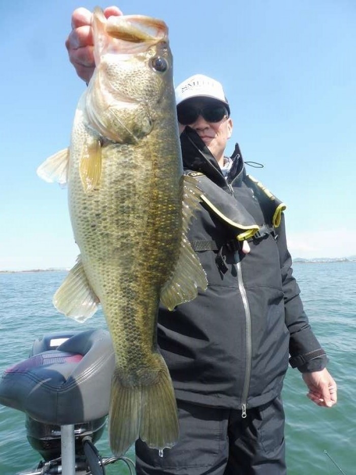 truth  ブログ写真 2017/04/03